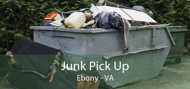 Junk Pick Up Ebony - VA