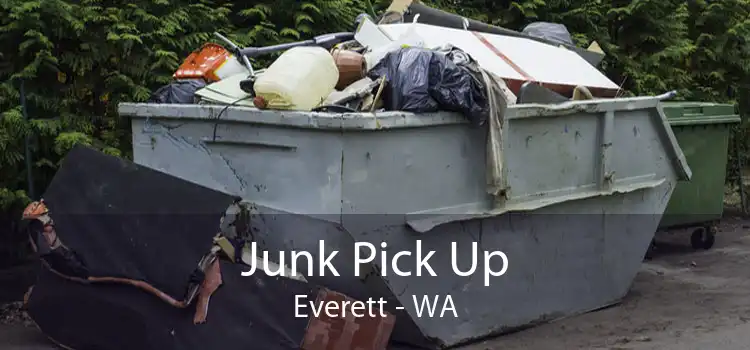 Junk Pick Up Everett - WA