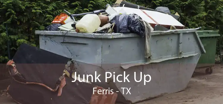 Junk Pick Up Ferris - TX