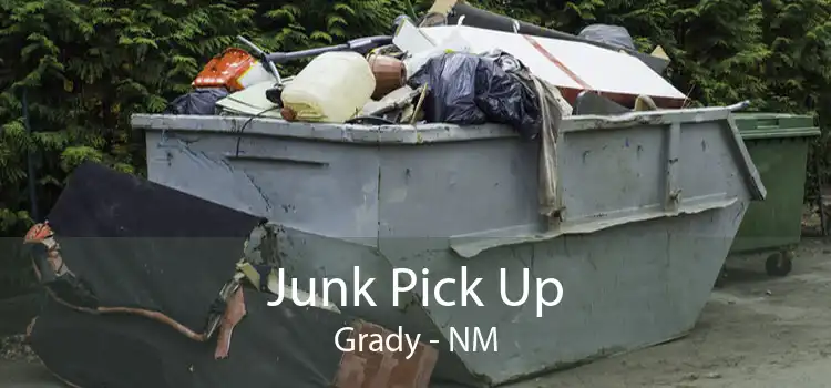 Junk Pick Up Grady - NM