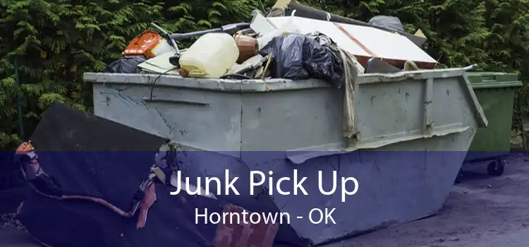 Junk Pick Up Horntown - OK