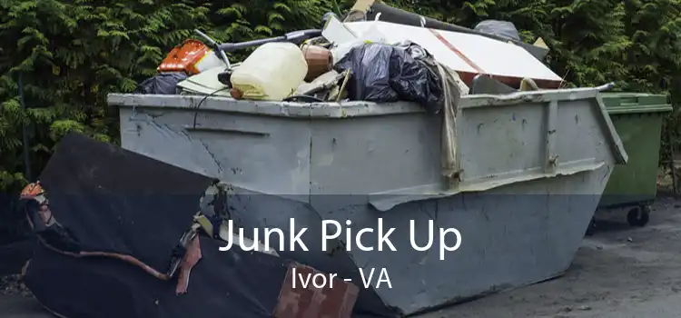 Junk Pick Up Ivor - VA