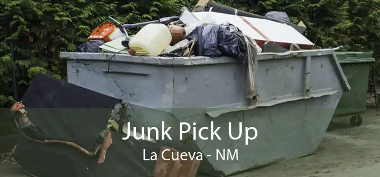 Junk Pick Up La Cueva - NM