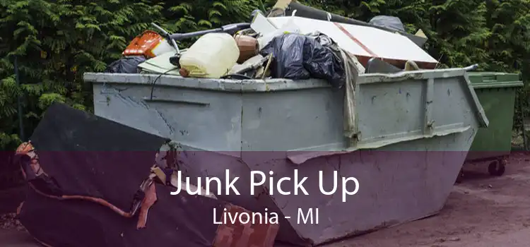Junk Pick Up Livonia - MI