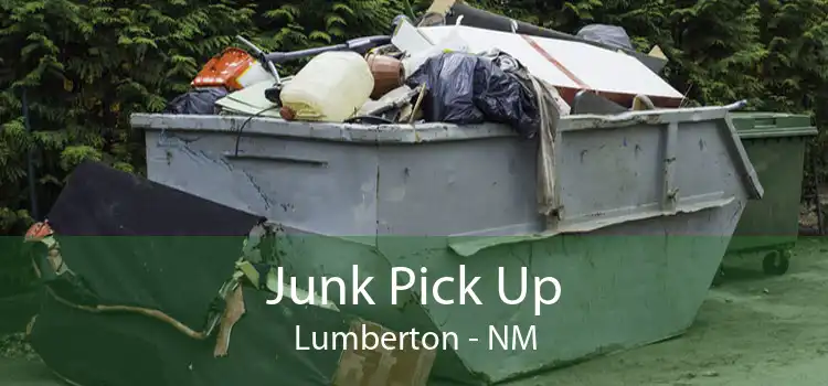 Junk Pick Up Lumberton - NM