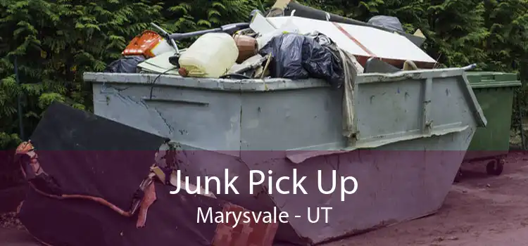 Junk Pick Up Marysvale - UT