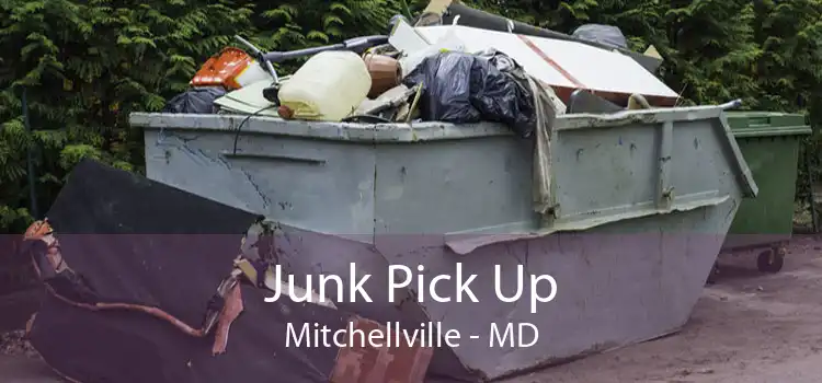 Junk Pick Up Mitchellville - MD