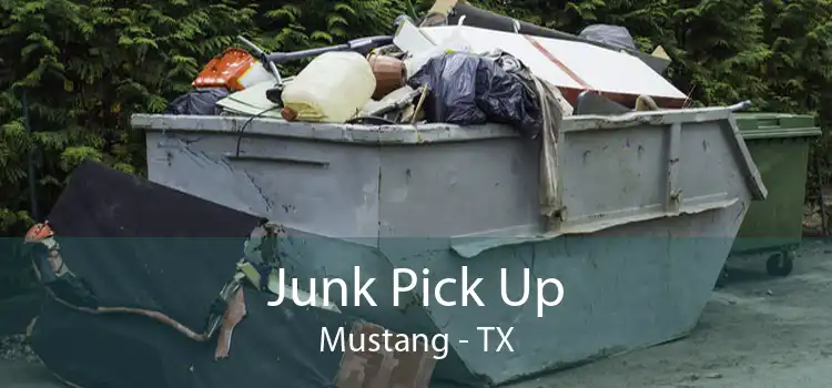 Junk Pick Up Mustang - TX