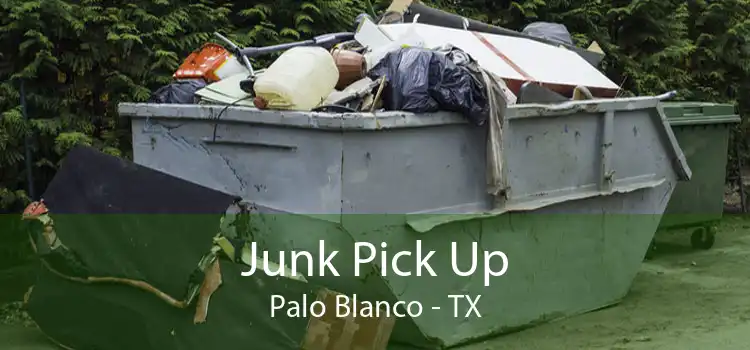 Junk Pick Up Palo Blanco - TX