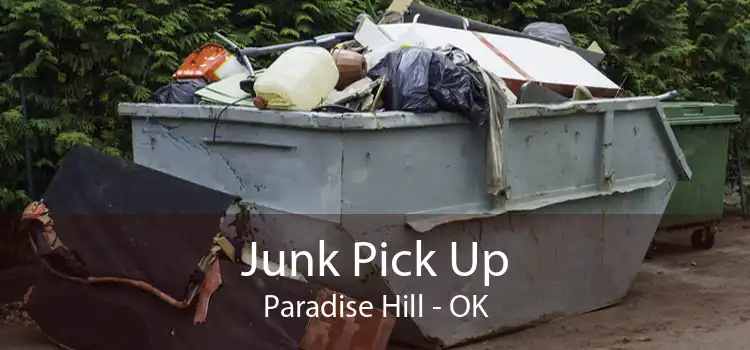Junk Pick Up Paradise Hill - OK