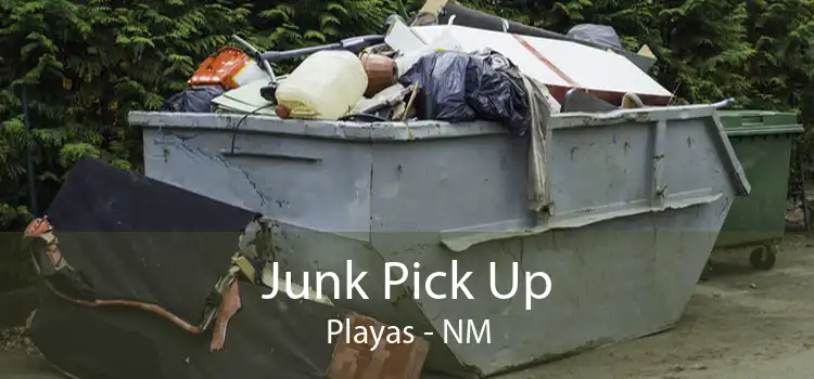 Junk Pick Up Playas - NM