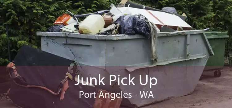 Junk Pick Up Port Angeles - WA
