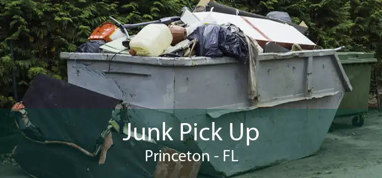 Junk Pick Up Princeton - FL