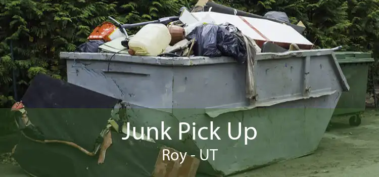 Junk Pick Up Roy - UT