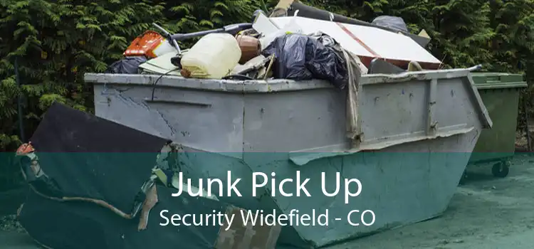 Junk Pick Up Security Widefield - CO