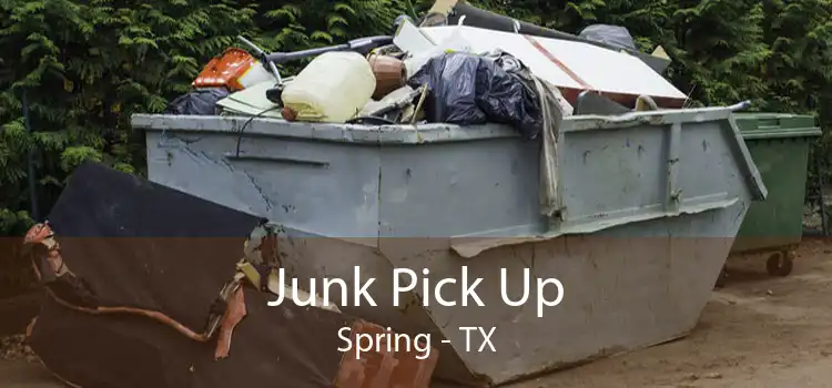 Junk Pick Up Spring - TX