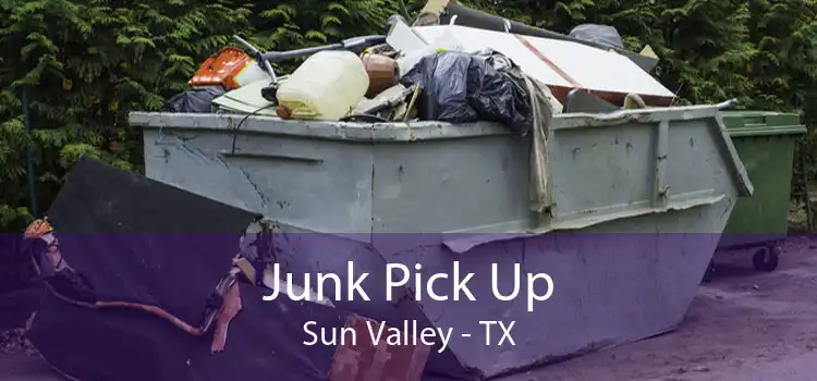 Junk Pick Up Sun Valley - TX