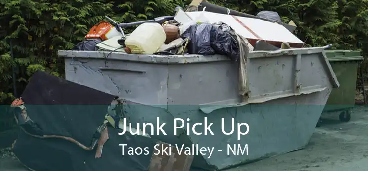 Junk Pick Up Taos Ski Valley - NM
