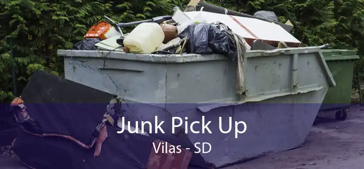 Junk Pick Up Vilas - SD
