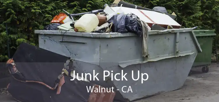 Junk Pick Up Walnut - CA