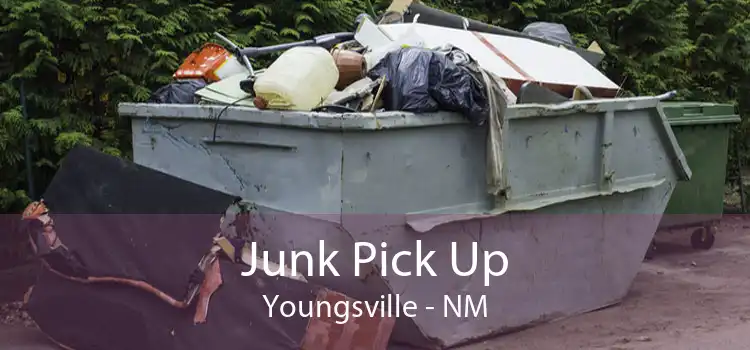 Junk Pick Up Youngsville - NM