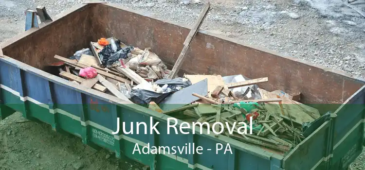 Junk Removal Adamsville - PA