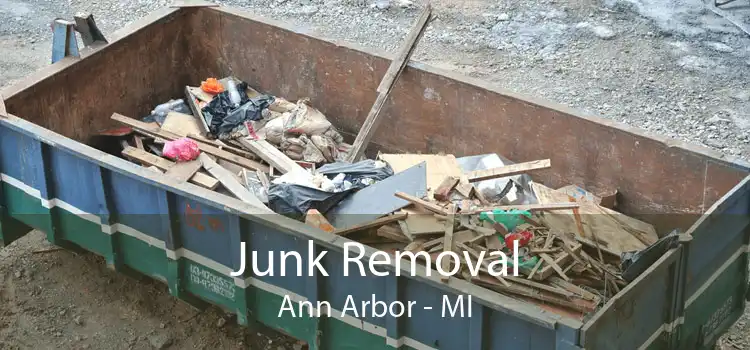 Junk Removal Ann Arbor - MI
