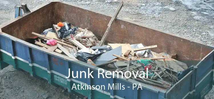 Junk Removal Atkinson Mills - PA