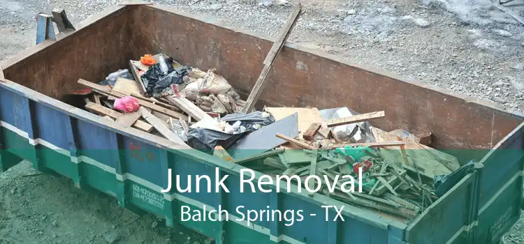 Junk Removal Balch Springs - TX