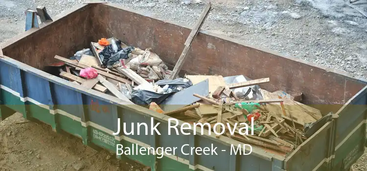 Junk Removal Ballenger Creek - MD