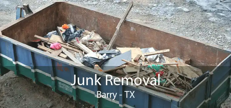 Junk Removal Barry - TX