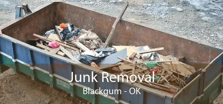 Junk Removal Blackgum - OK