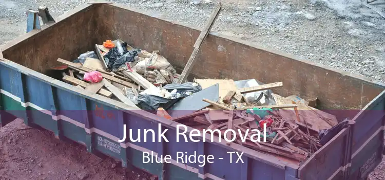 Junk Removal Blue Ridge - TX