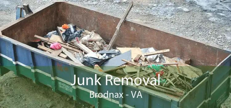 Junk Removal Brodnax - VA