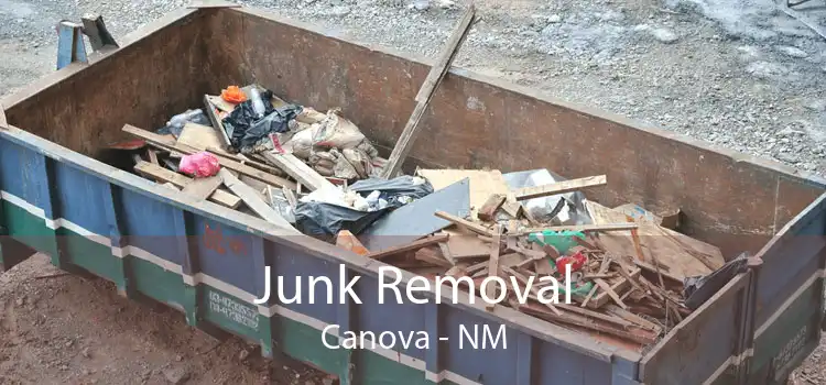 Junk Removal Canova - NM