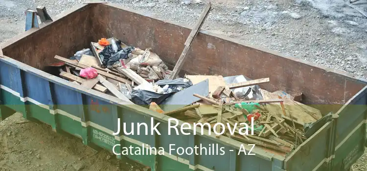 Junk Removal Catalina Foothills - AZ
