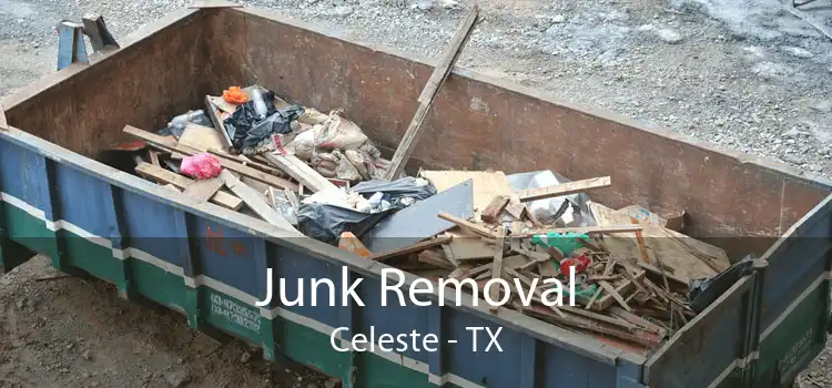 Junk Removal Celeste - TX