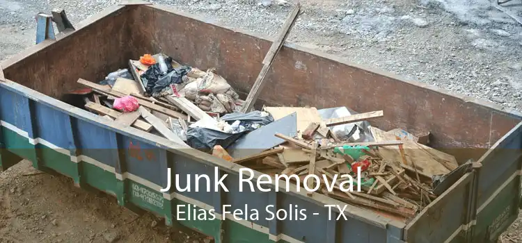 Junk Removal Elias Fela Solis - TX