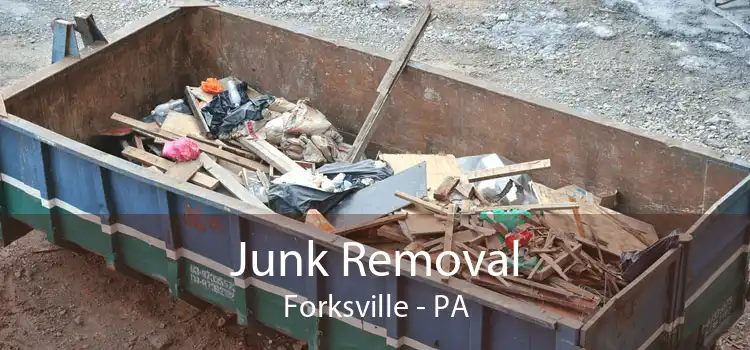 Junk Removal Forksville - PA