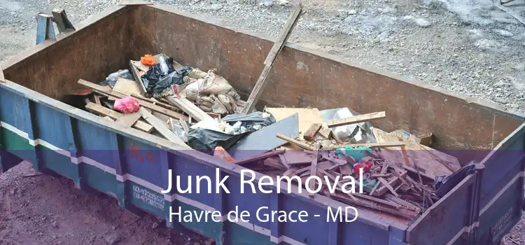 Junk Removal Havre de Grace - MD