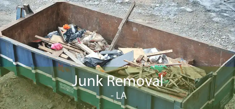 Junk Removal  - LA