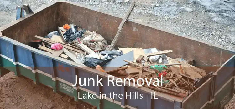 Junk Removal Lake in the Hills - IL