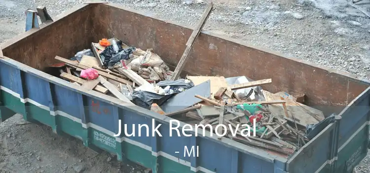 Junk Removal  - MI