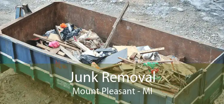 Junk Removal Mount Pleasant - MI