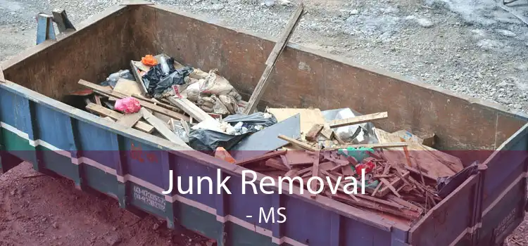 Junk Removal  - MS