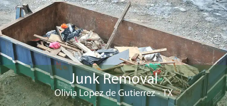 Junk Removal Olivia Lopez de Gutierrez - TX