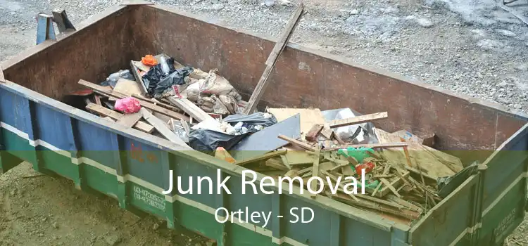 Junk Removal Ortley - SD