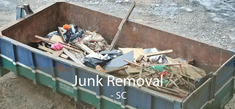 Junk Removal  - SC