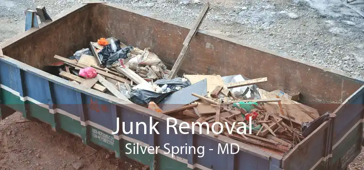 Junk Removal Silver Spring - MD