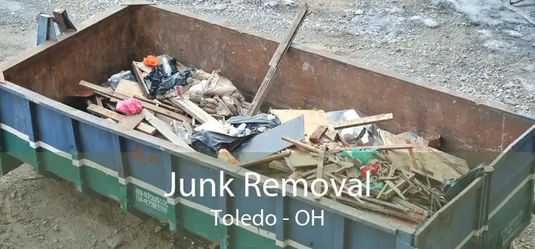 Junk Removal Toledo - OH